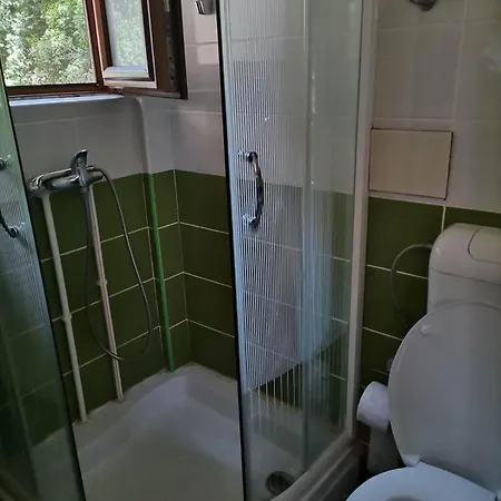 Panorama Borsko Jezero Daire