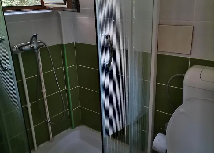 Panorama Borsko Jezero Lejlighed